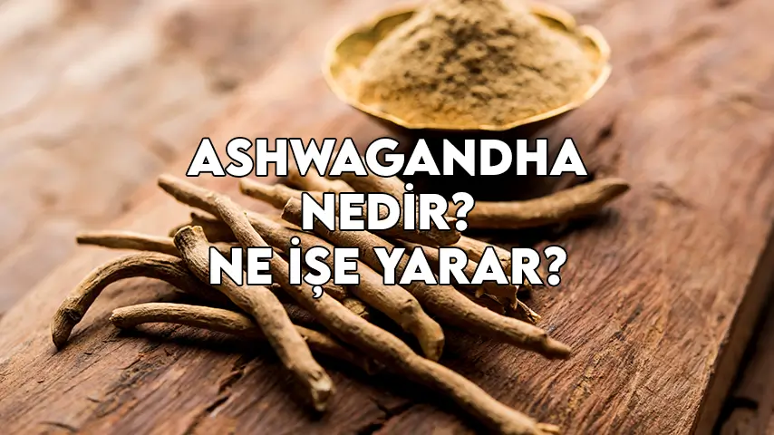 Ashwagandha nedir